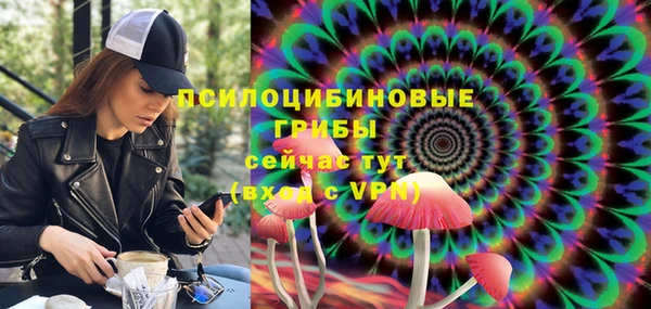 PSILOCYBIN Абинск