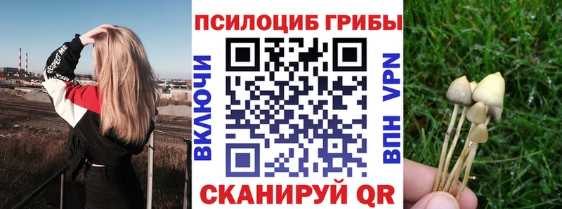 Галлюциногенные грибы ЛСД  Назрань 